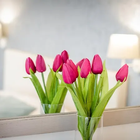 The White Queen Bed & Breakfast 3*
